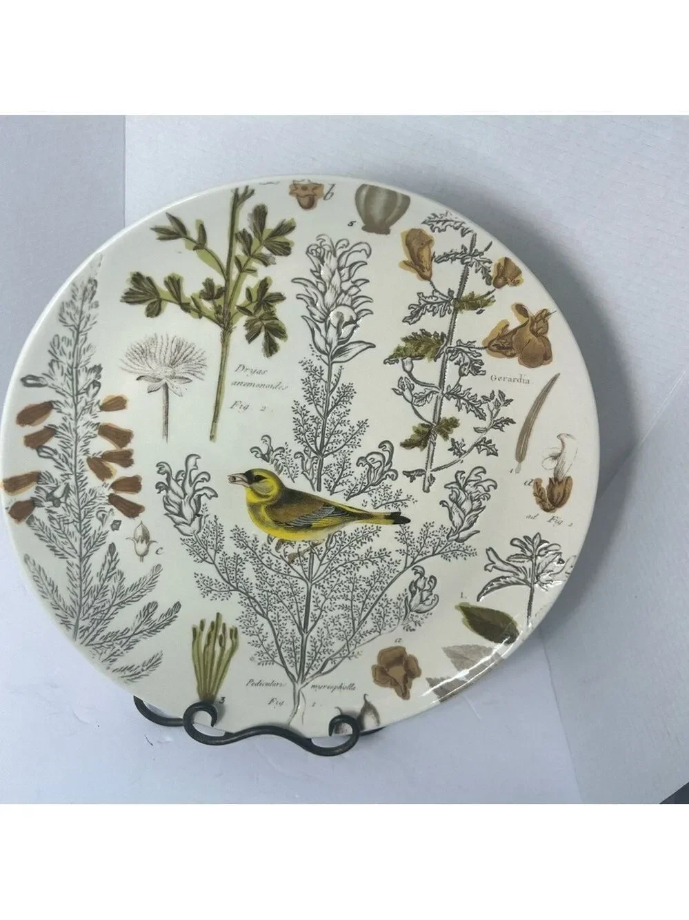 NEW Large Pottery Barn Meadowlark Serving Platter Floral